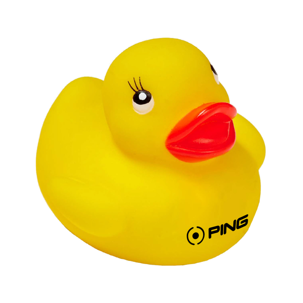 Colorful Duck 8