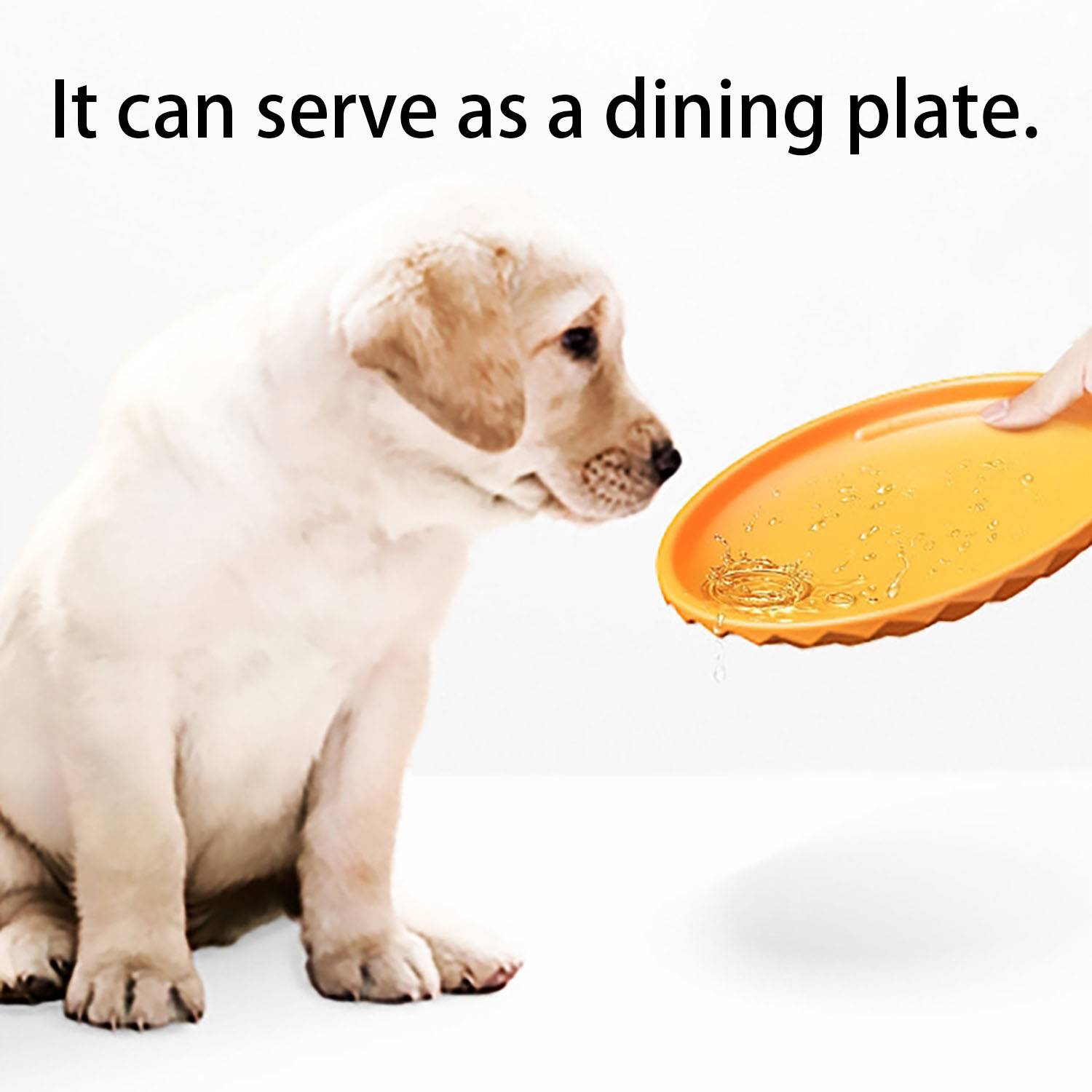 7.2 Inch Water-Friendly Durable TPR Dog Flying Disc Toy 2