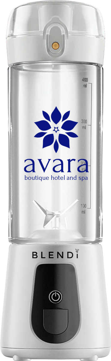 BLENDi™ Lite Portable Blender 17oz 41