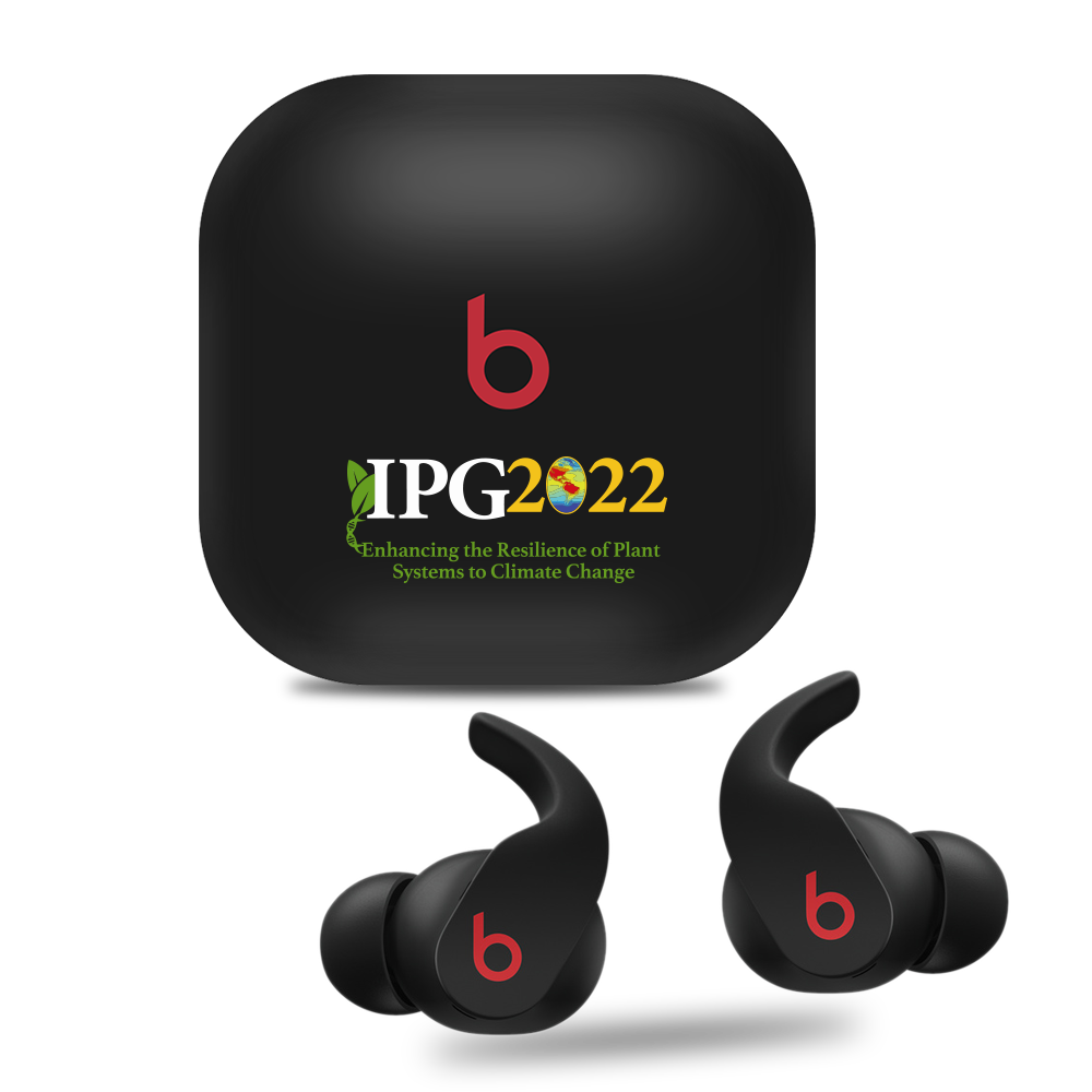 Custom Beats Fit Pro 1