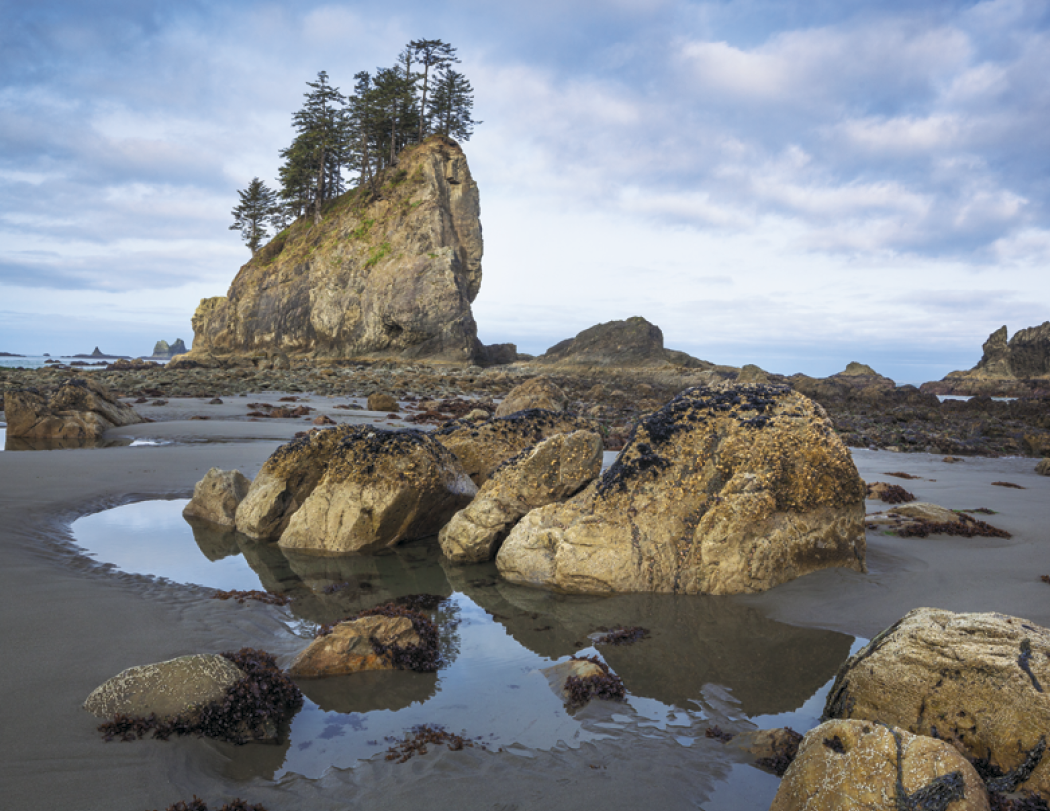 Triumph® Calendars National Parks Calendar 7