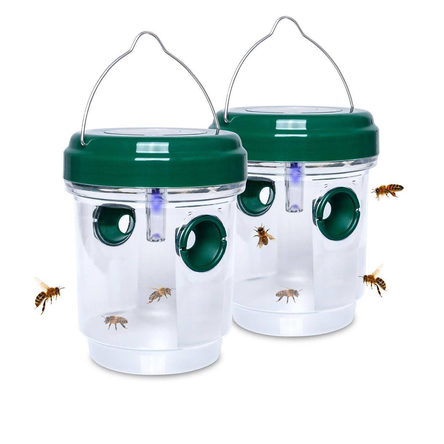 Solar Wasp Trap 3