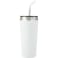 Faye 20oz Vacuum Tumbler w/ SS Straw 56