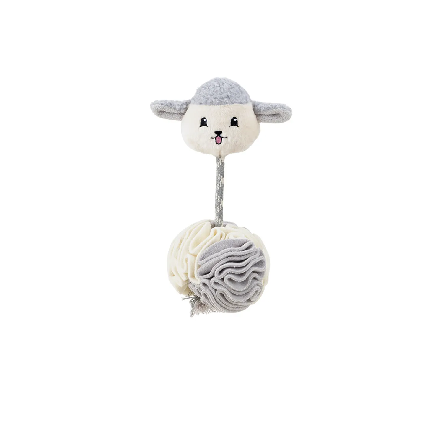 Pet Dog Teeth Hide Food Toys 4