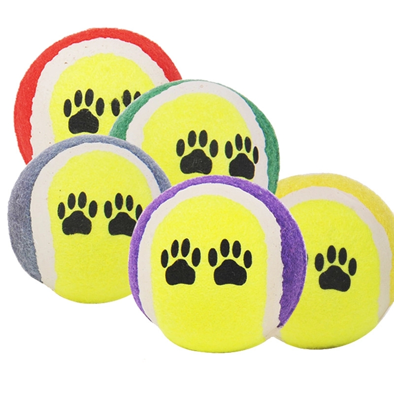 Pet Fetch Toy Tennis Ball 1