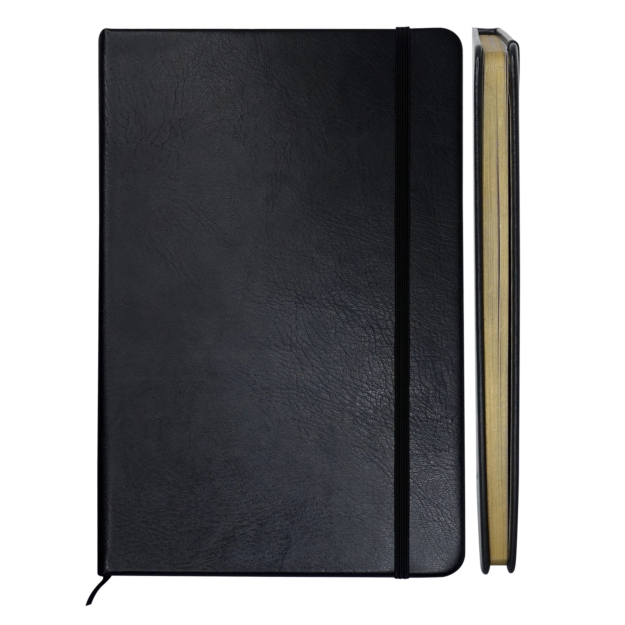 Gilded Edge Notebook 9