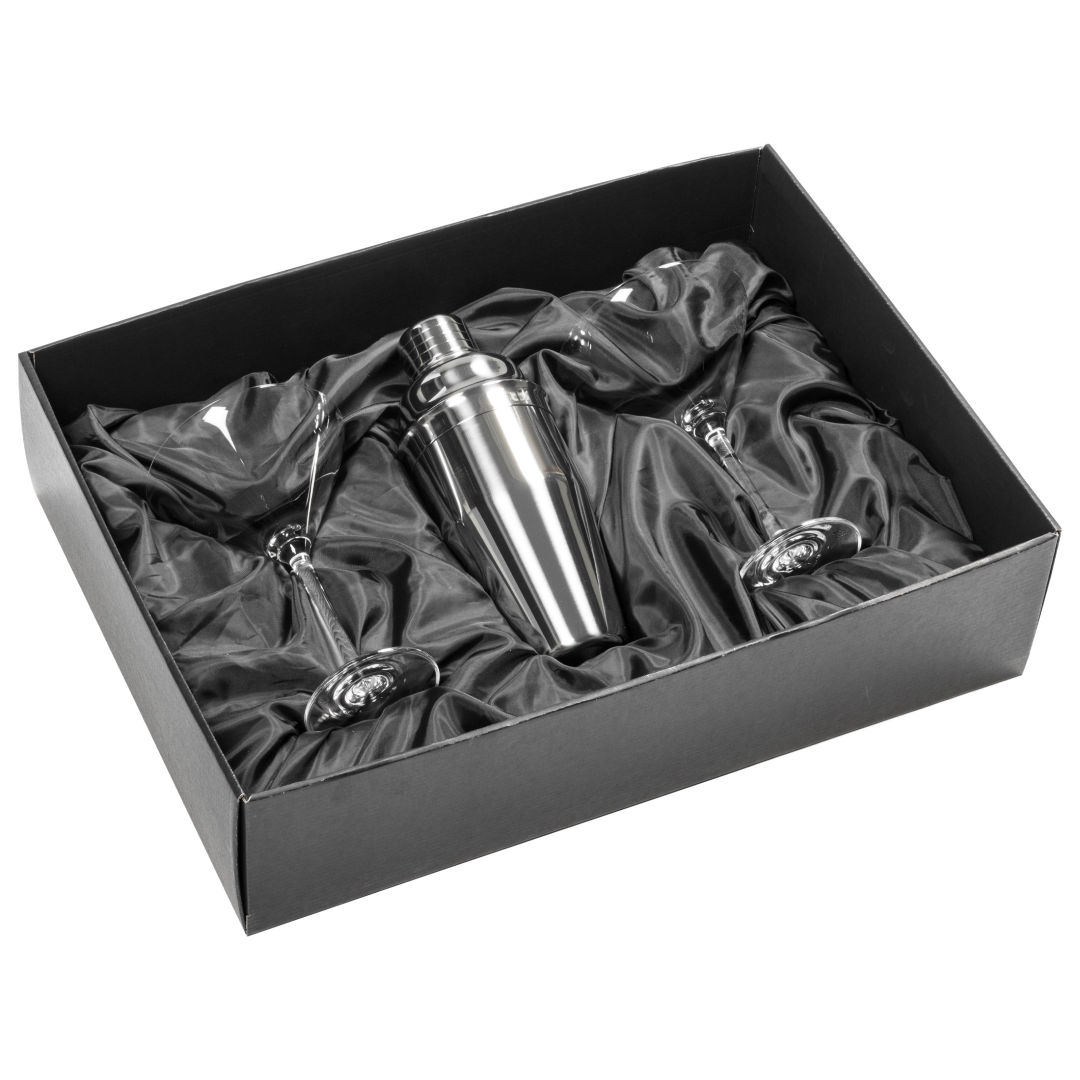 Connoisseur Shaker & Burlington Martini Set 5