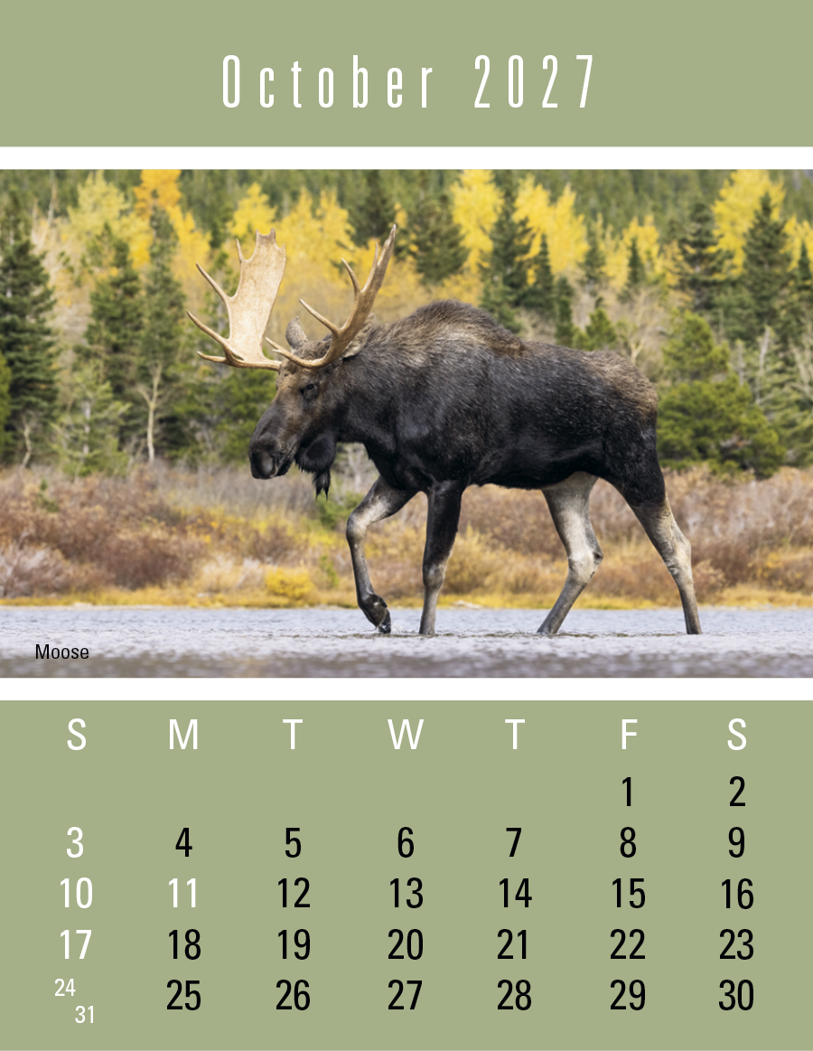 Triumph® Calendars Press-N-Stick Sportsmen Calendar 955