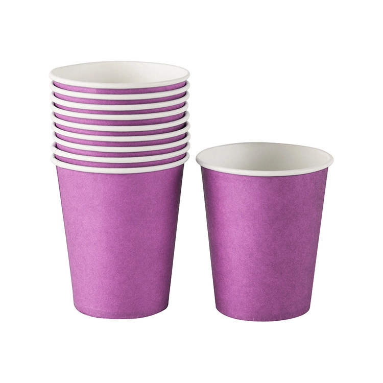9oz Disposable Party Picnic Beverage Ice Cream Paper Cup 20