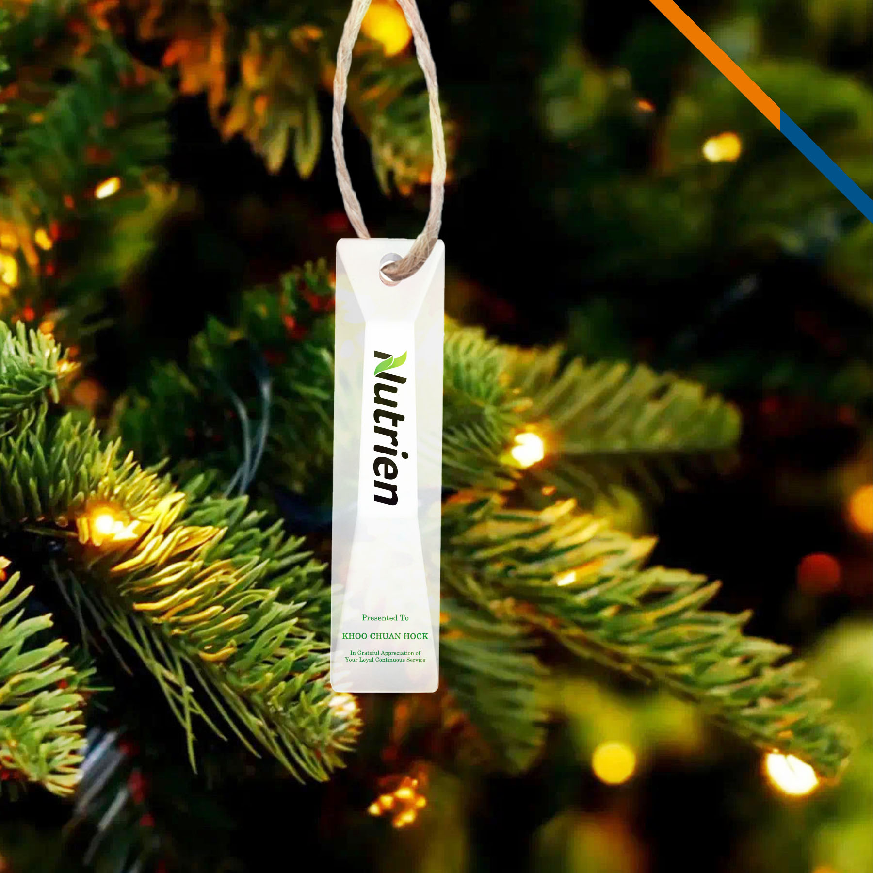 Odayle Rectangle Award Ornament 3