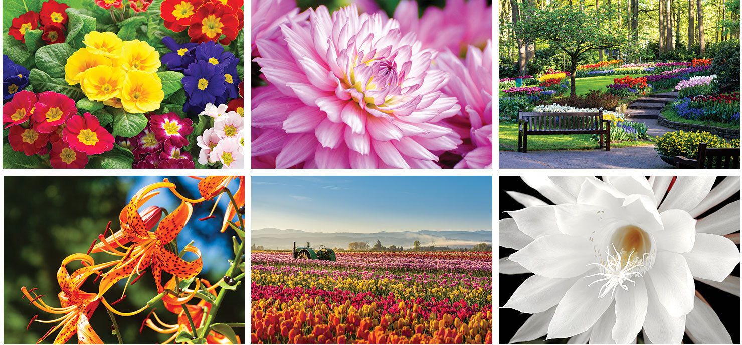GARDEN DESK CALENDAR 3