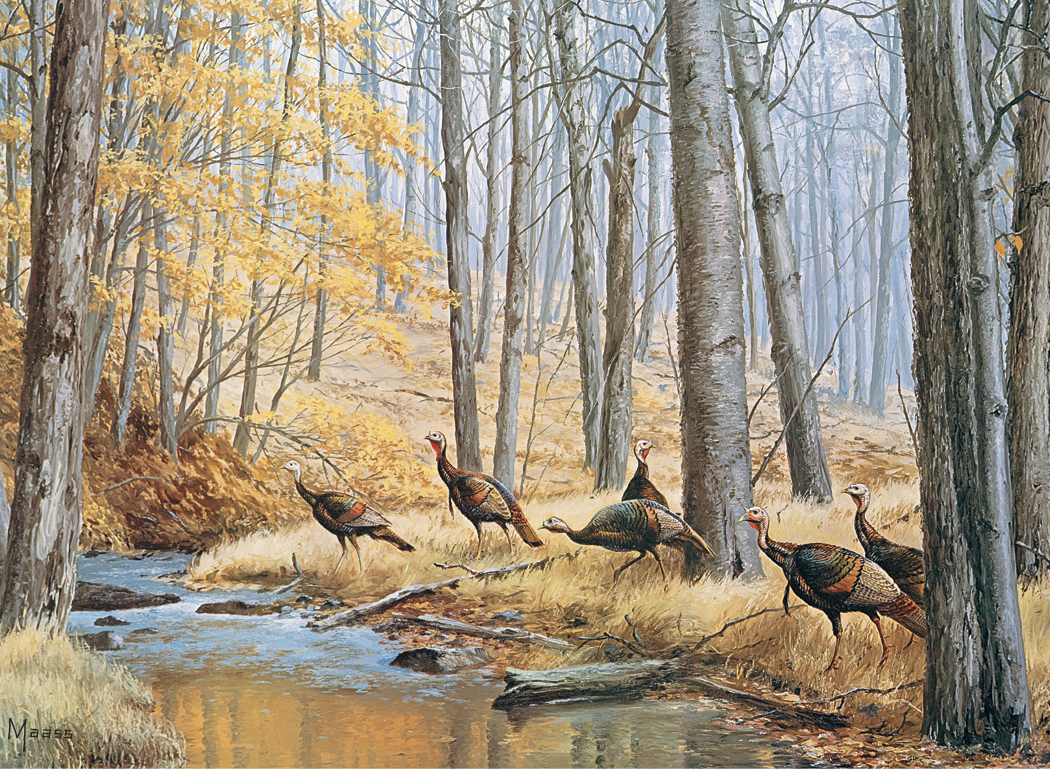 HotLine® Products Maass Wildfowl® Executive Calendar 20