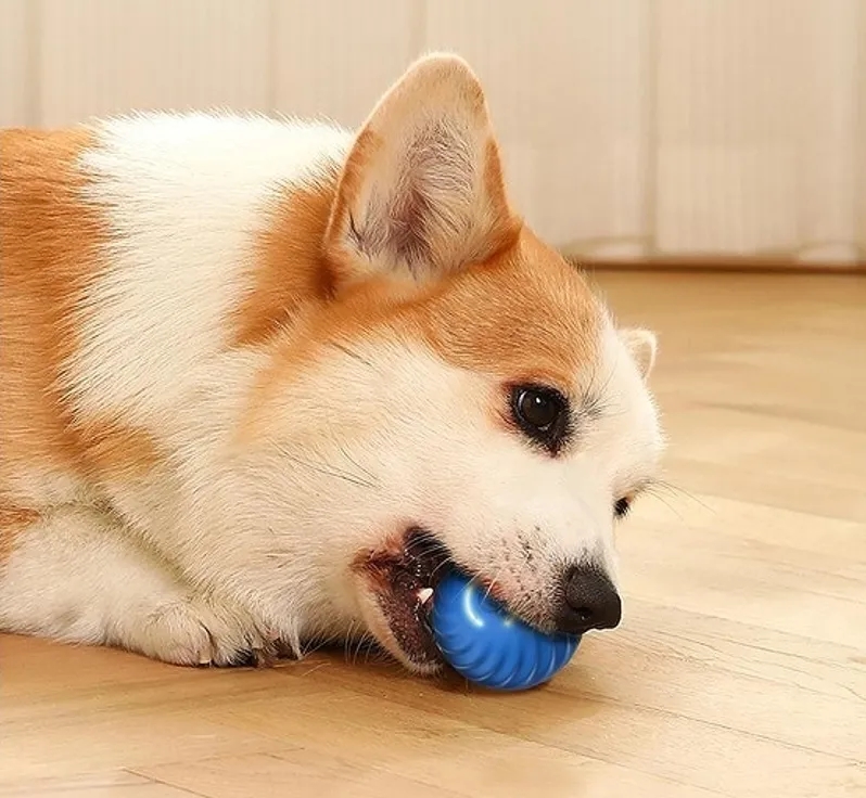 USB Rechargeable Interactive Dog Ball Toy 4