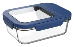Glass Lunch Box 2