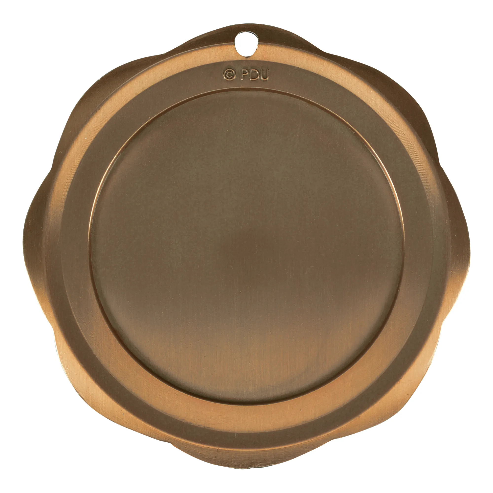 3" Fusion Citizenship Medal 16
