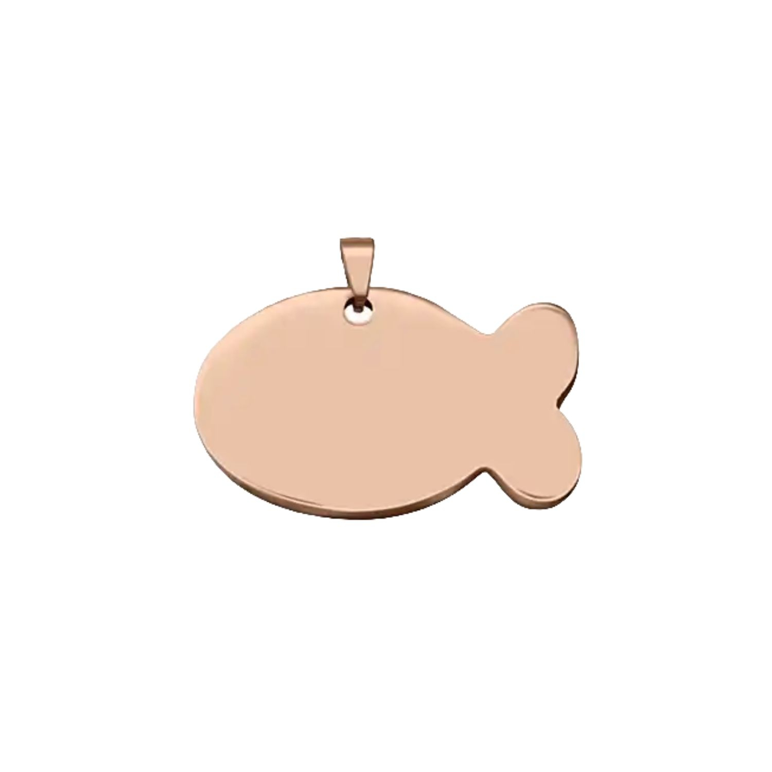 Fish Shaped Stainless Steel Pet Tag 4