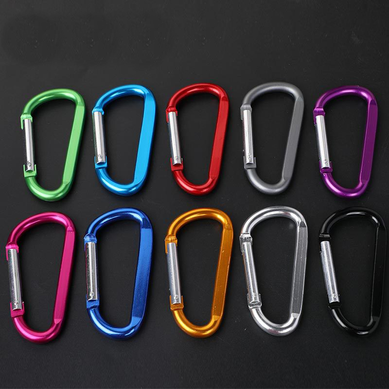 Carabiner Key Chain 7
