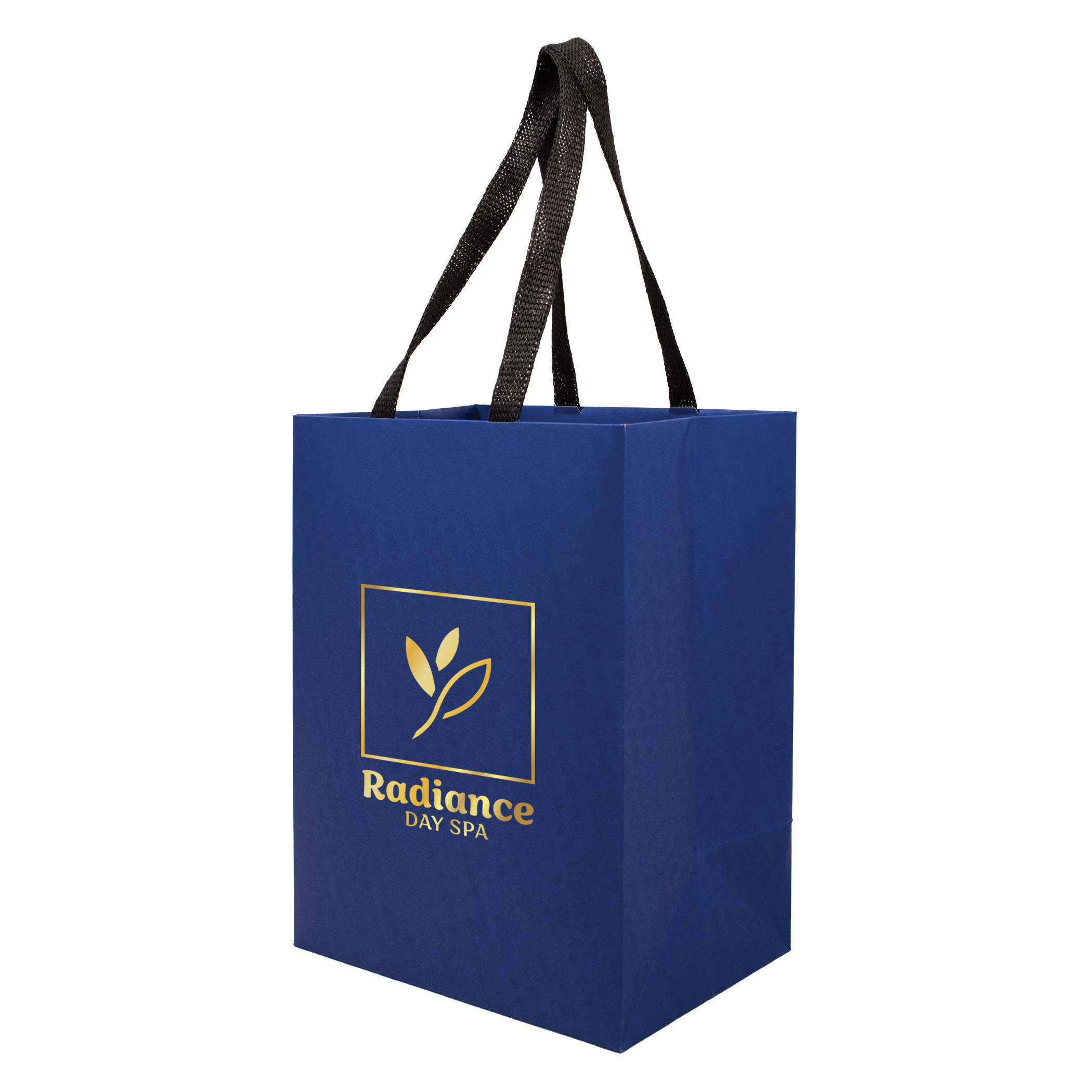Sugarcane Paper Bag with Embedded Web Style Paper Handles - 12