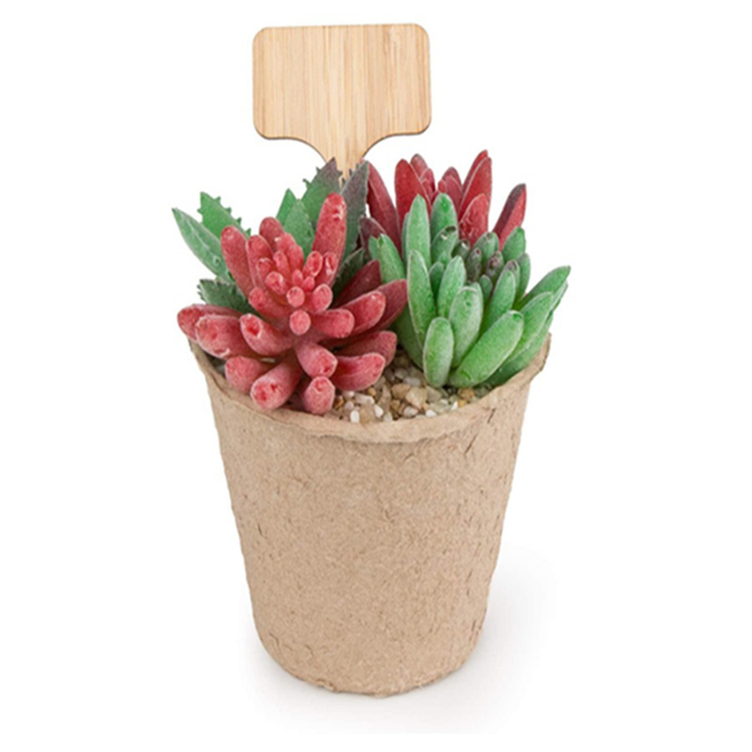 Wood Creative Plant And Flower Sign Insertion 2