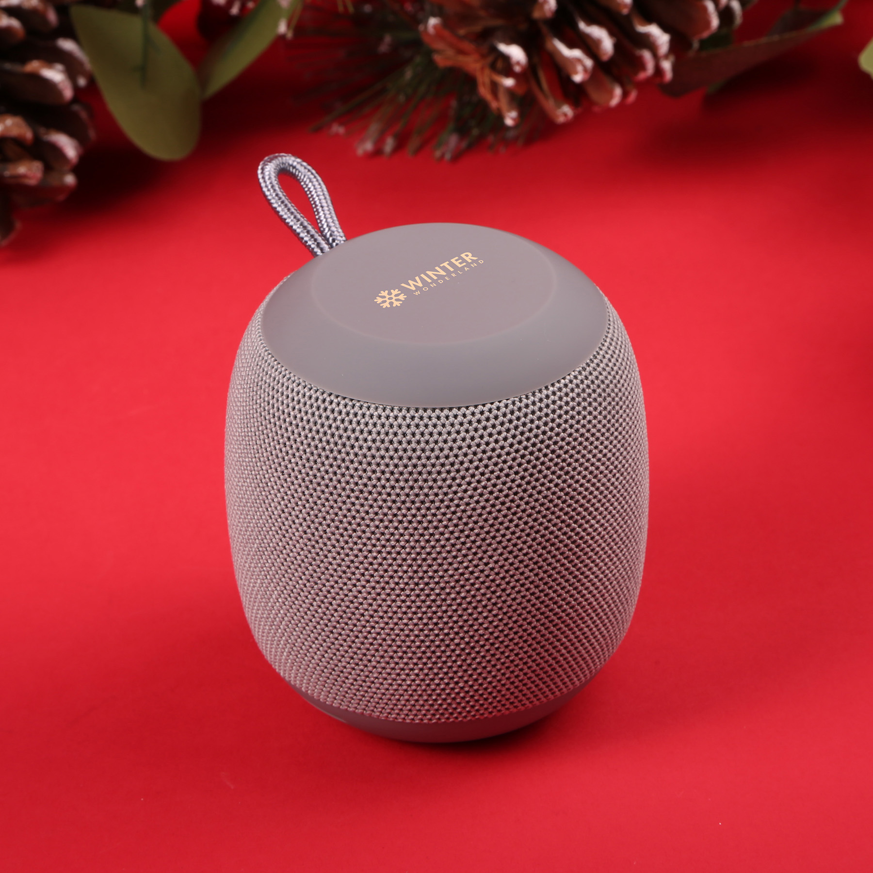 Boomberri Wireless Speaker 1
