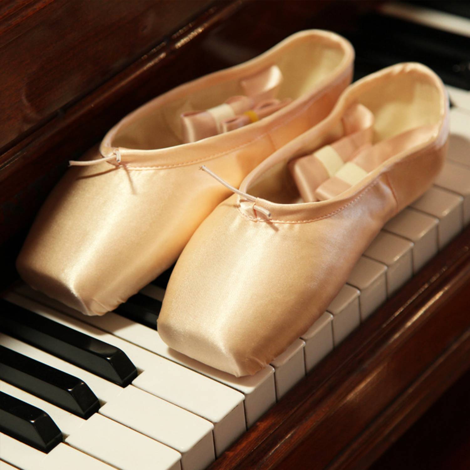 Toe Strap Ballet Shoes 5