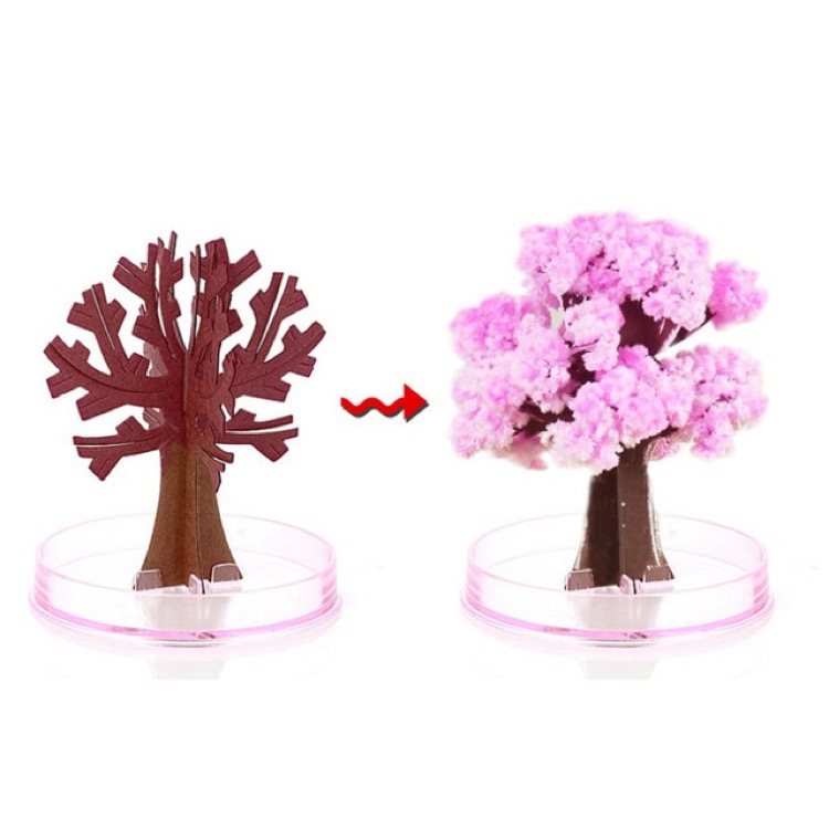 Magic Paper Growing Tree 2