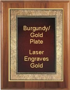 8" x 10" Cherry Finish Plaque with a Gold Border Burgundy Art Plaque Plate 2