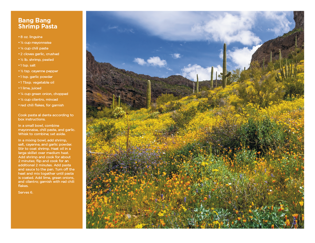Triumph® Calendars America the Beautiful with Recipes Calendar 73