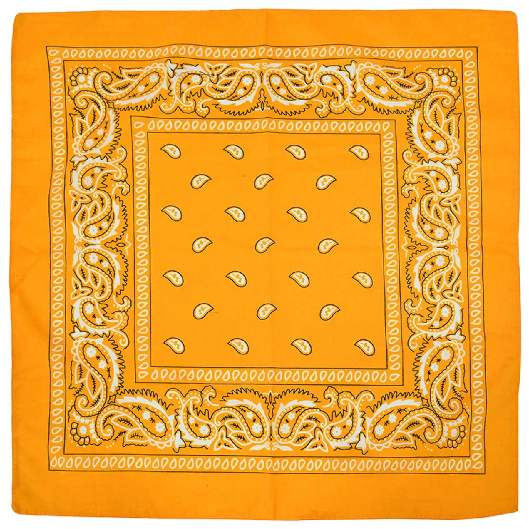 Multi-Purpose Bandanas Paisley 15