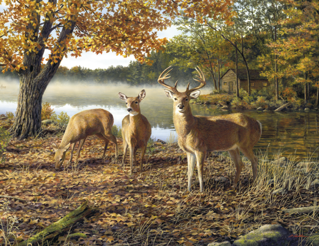 Triumph® Calendars Wildlife Art by the Hautman Brothers Calendar 25