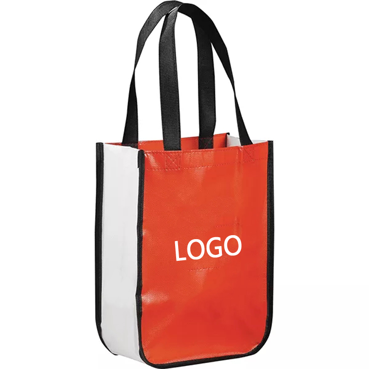 Non-woven Bag 3