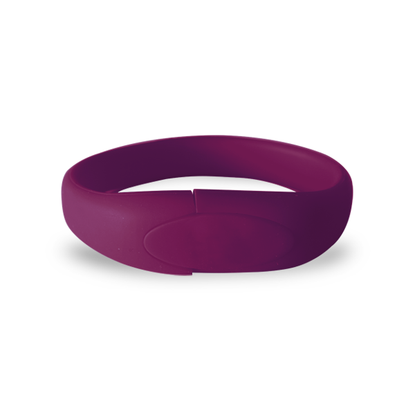 Warrenville Silicon Wristband USB Flash Drive 8