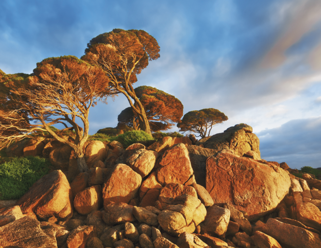 Triumph® Calendars World Scenic Calendar 41