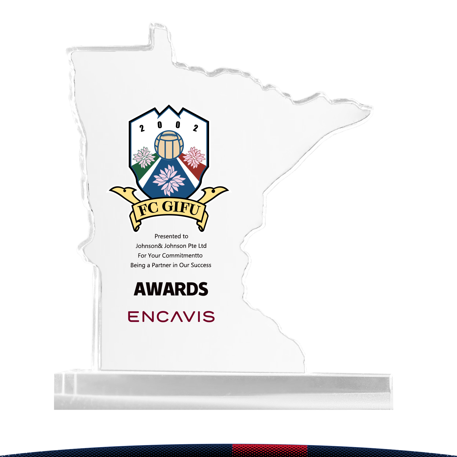 Delue Minnesota Crystal Award 1