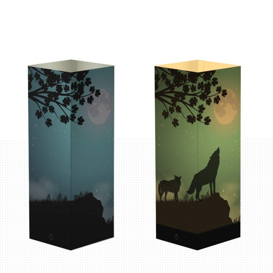 Night Light Lamp with Custom Full Color Paper Cover 10