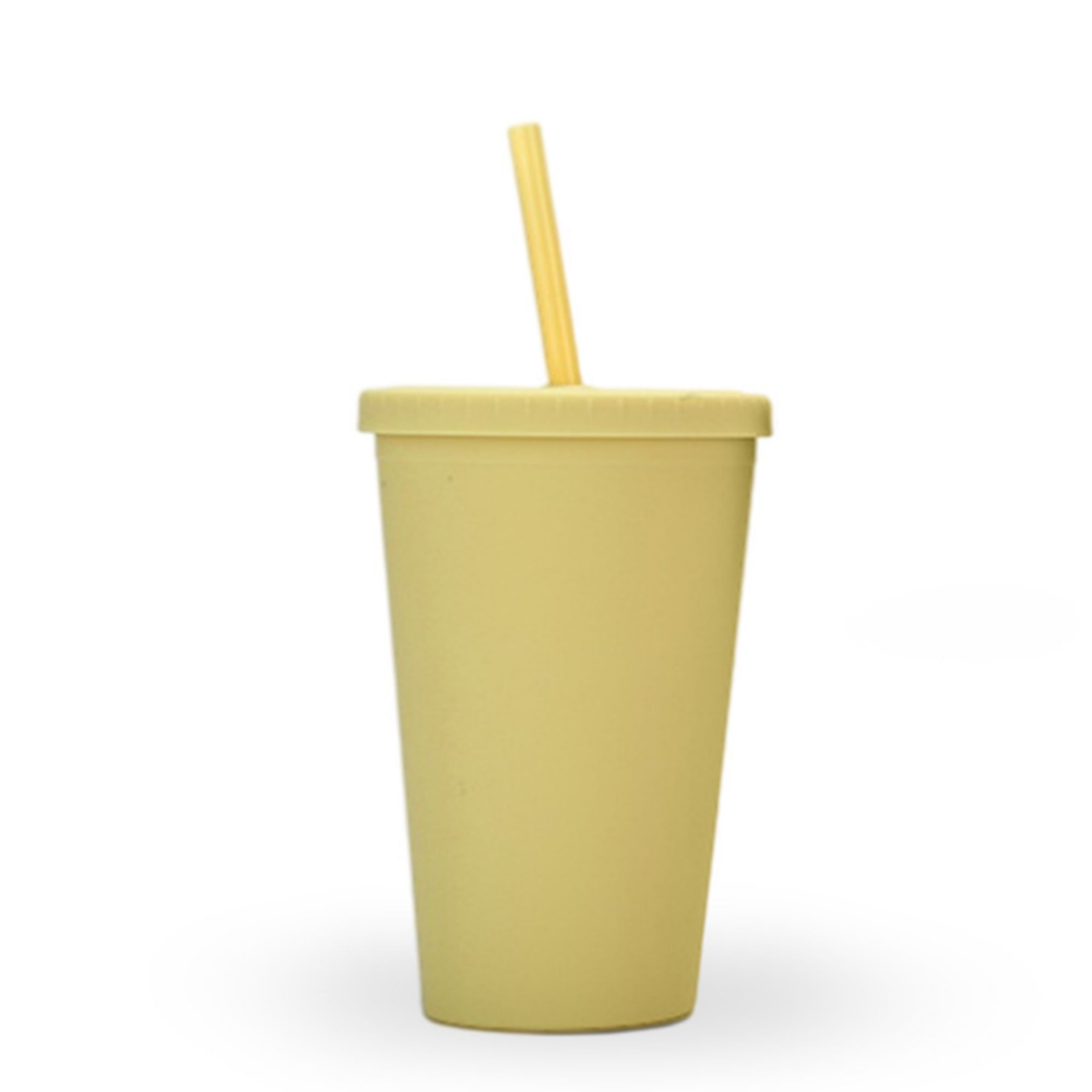 16 oz Double-Layer Straw Cup 3