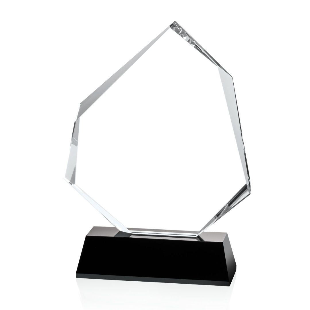 Warner Award - Black 1