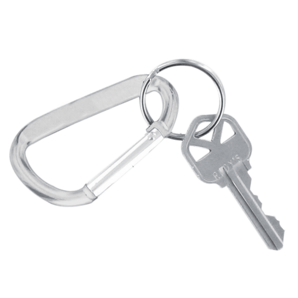 Carabiner Keychain 7