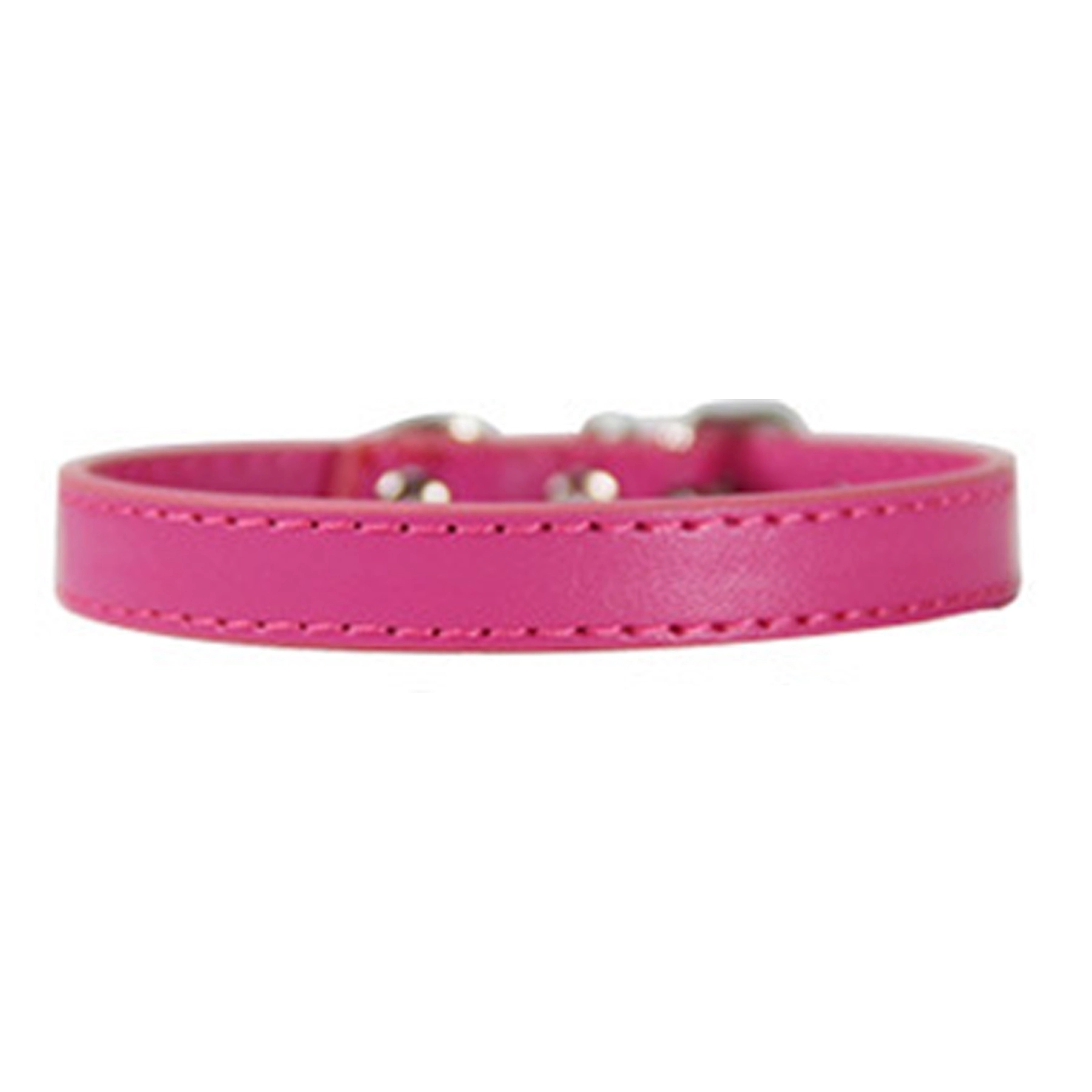 Pet Collar 4