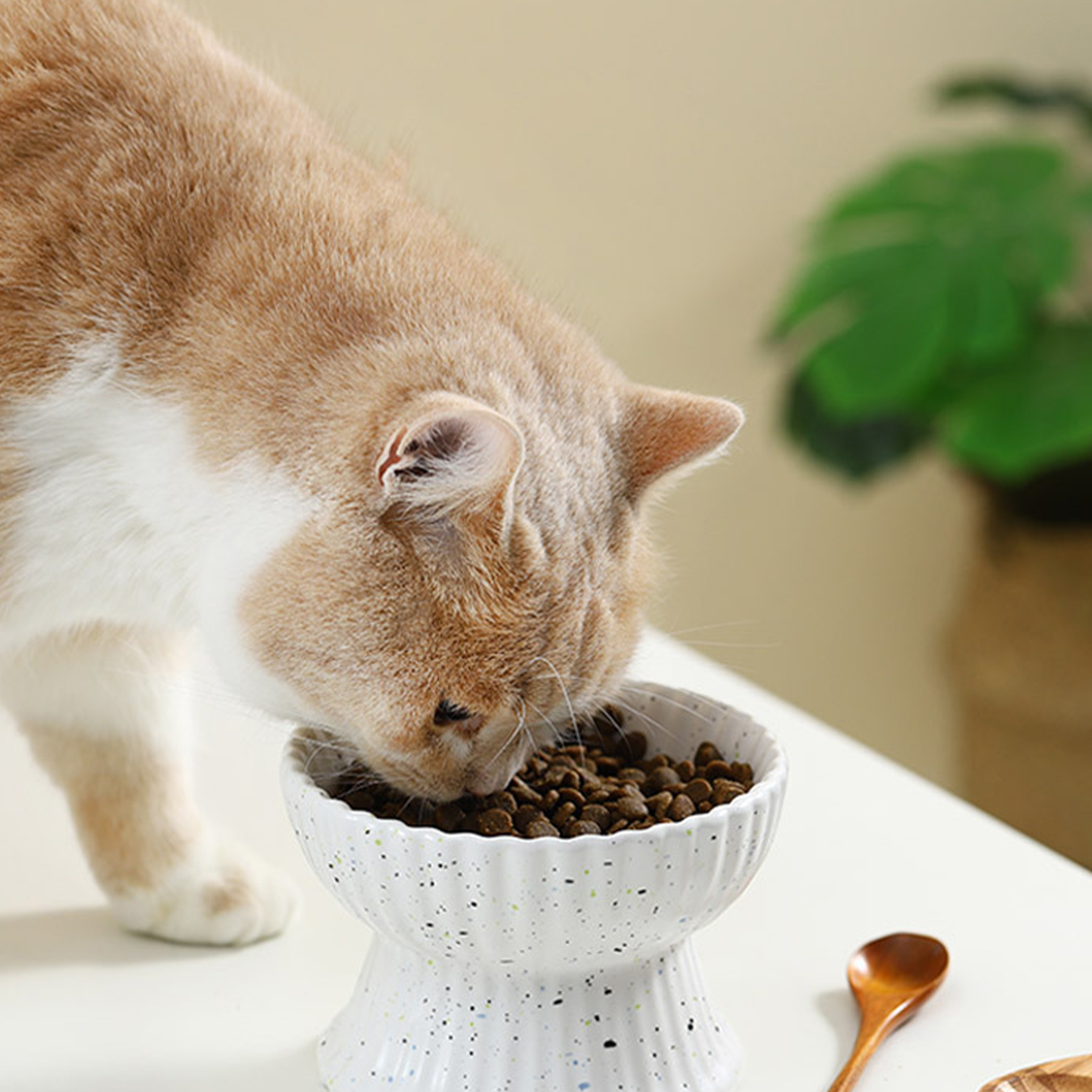 Ceramic Pet Ceramic Cat Food Bowl 3