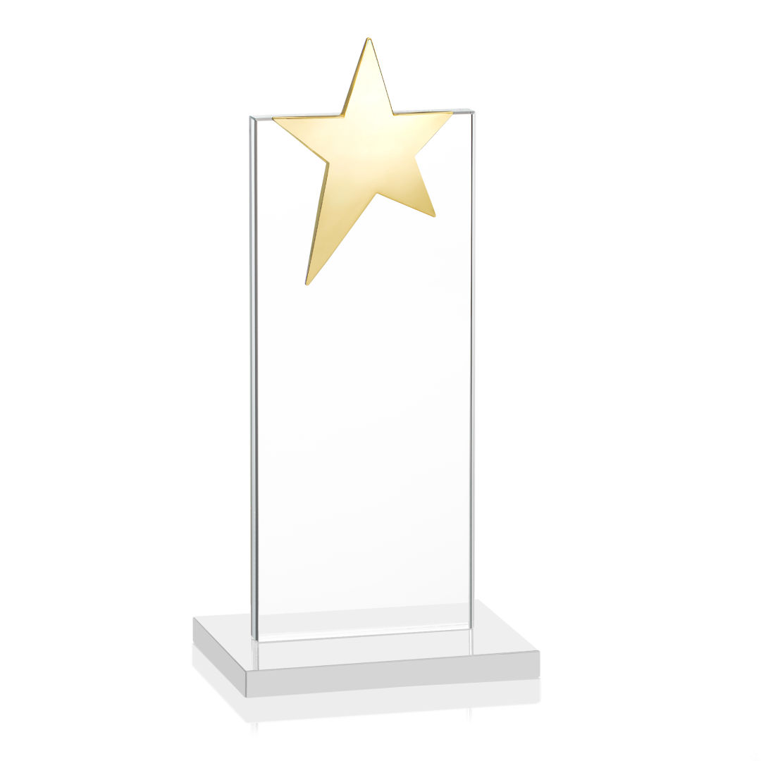 Bryanston Gold Star Award - White 8