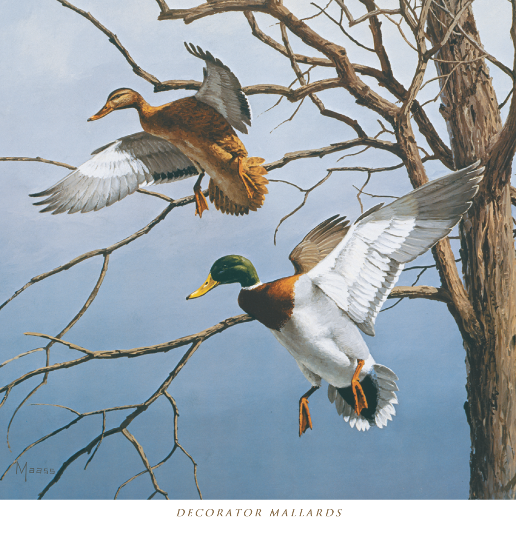 HotLine® Products David Maass Executive Calendar 31