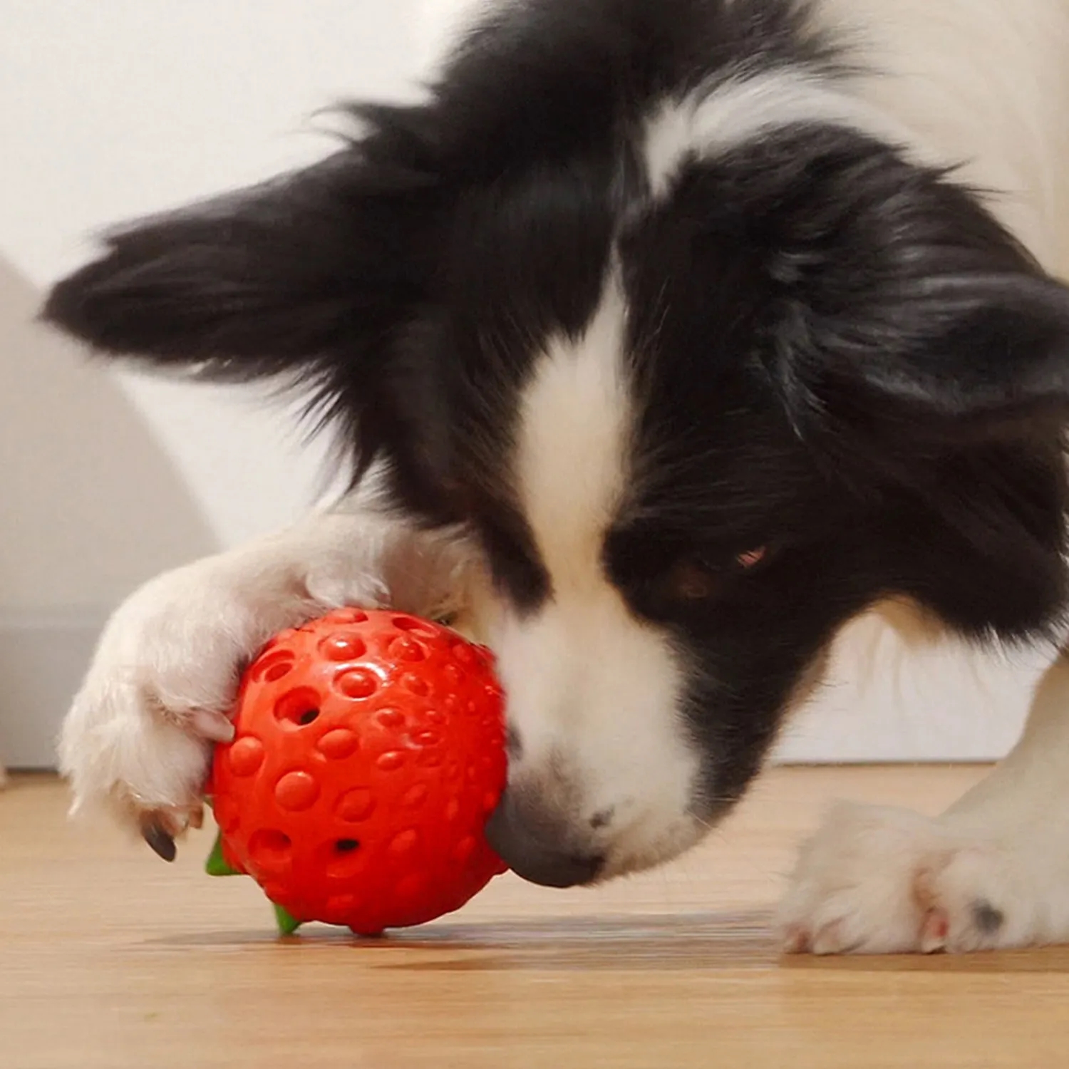 Fun Pet Teeth Cleaning Chew Rubber Toy 6