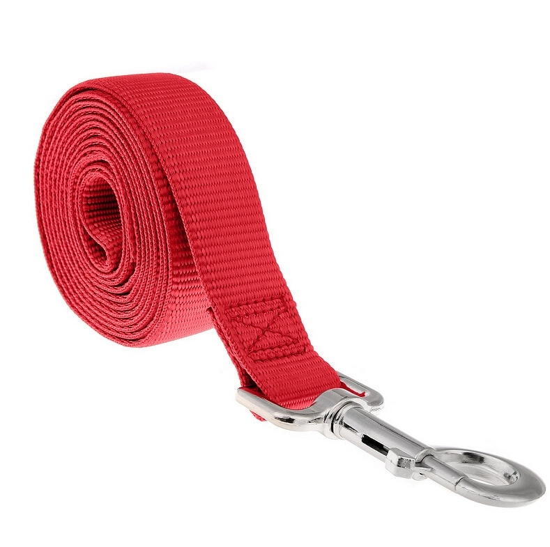 Dog Leash 2