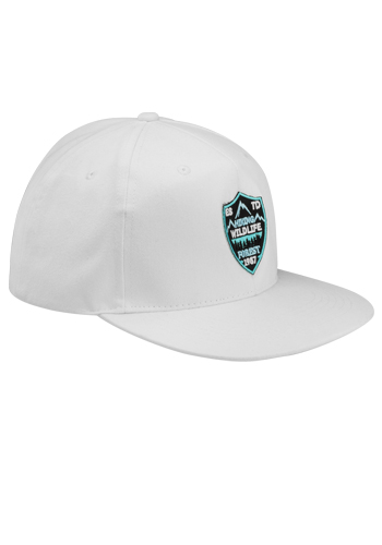 Riverton Flat Bill Snapback Hats 9