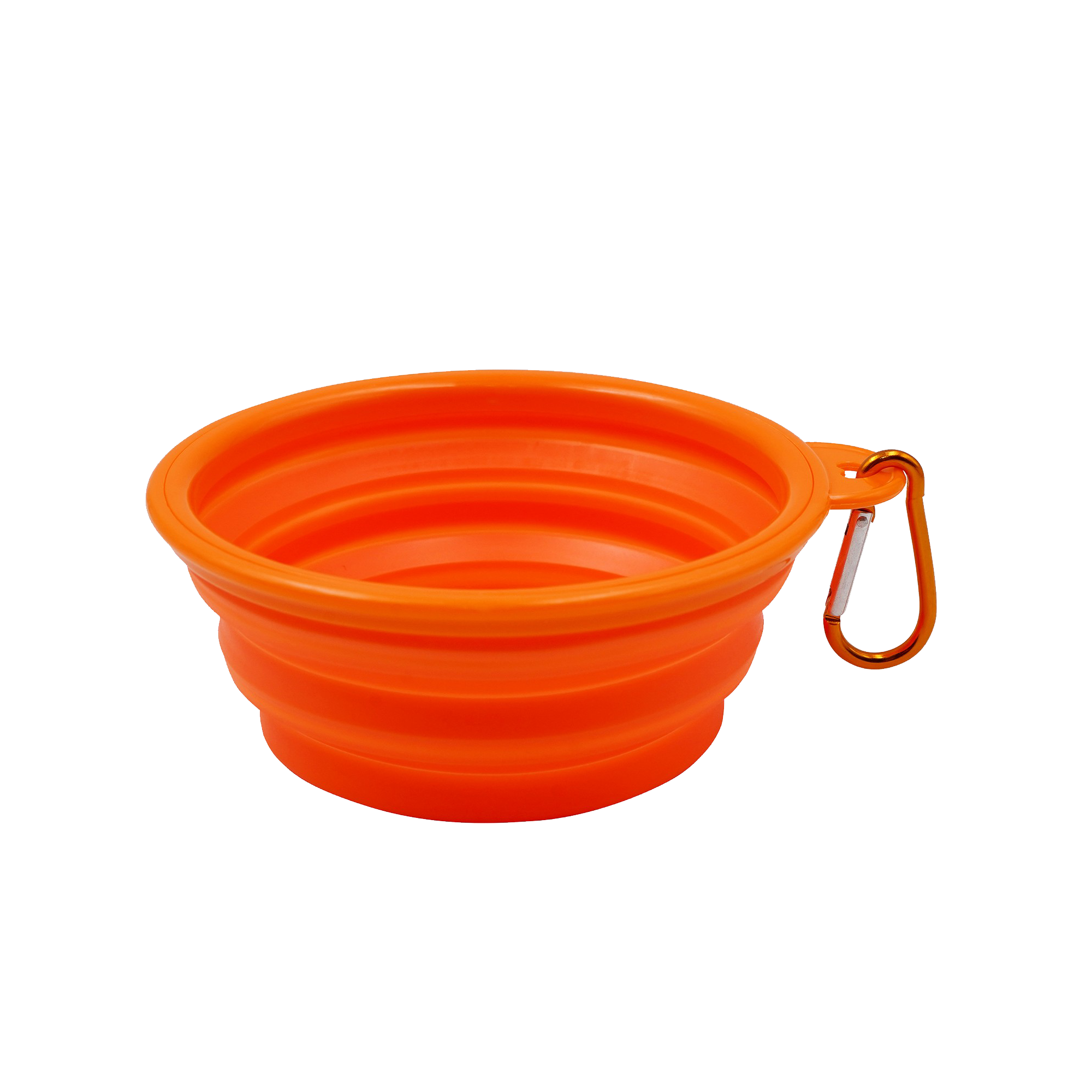 Collapsible Pet Food Dish 2