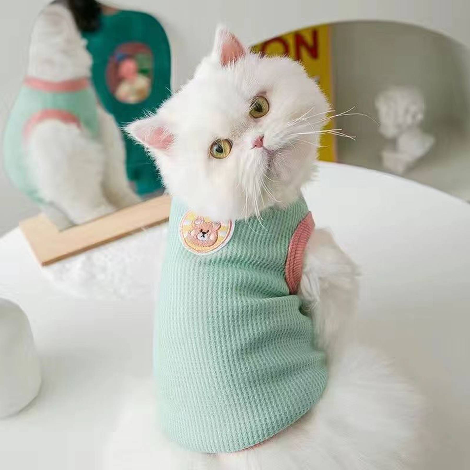 Cute costumes for cats and dogs 6