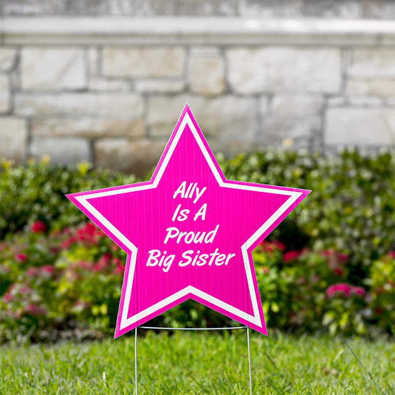 Star Yard Signs 2