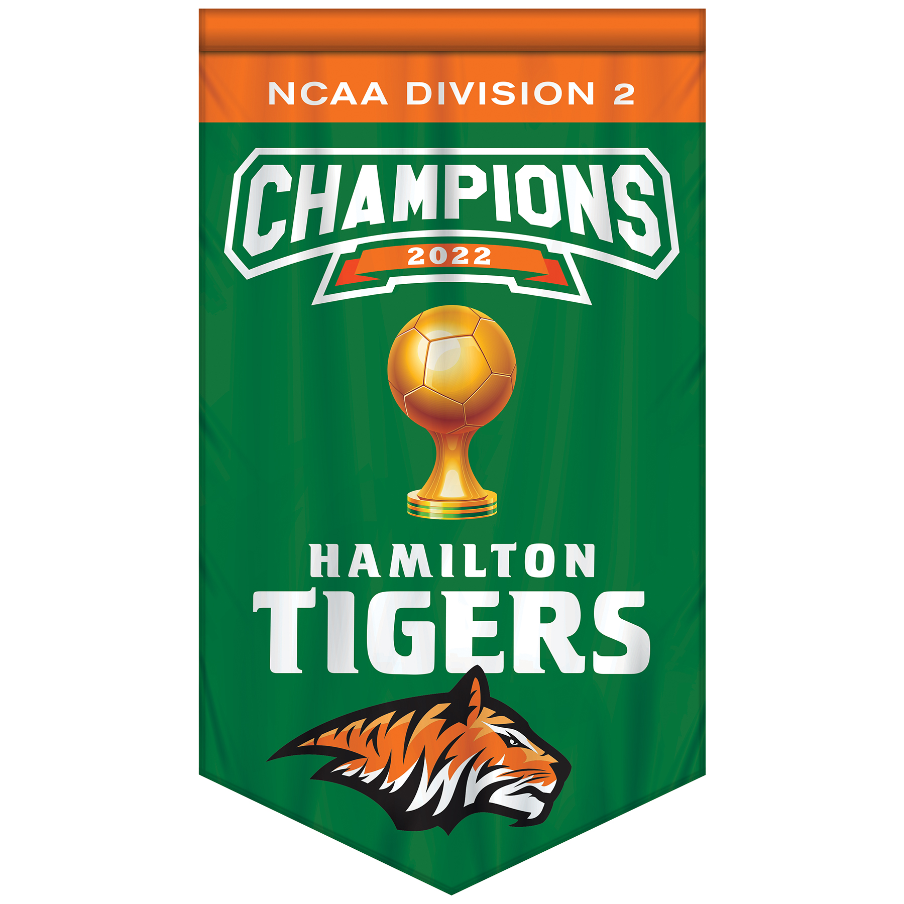 3' x 5' Championship Banner Double Sided V-Cut 6