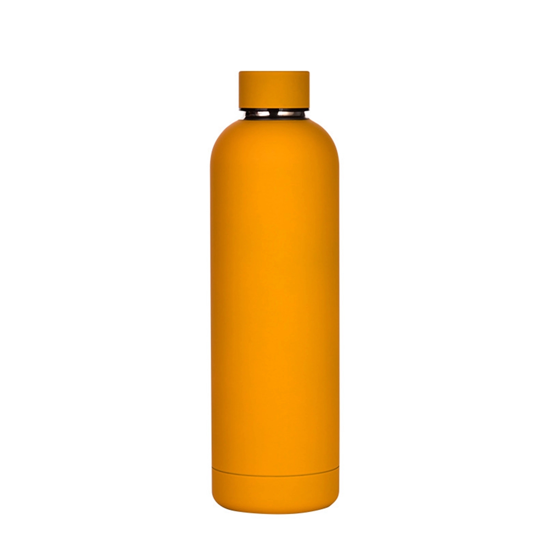 17 OZ Vacuum Insulated Stainless Steel Water Bottle 21